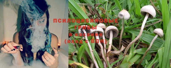 стаф Балабаново