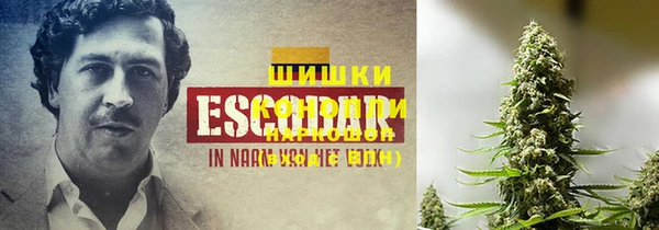 каннабис Белокуриха
