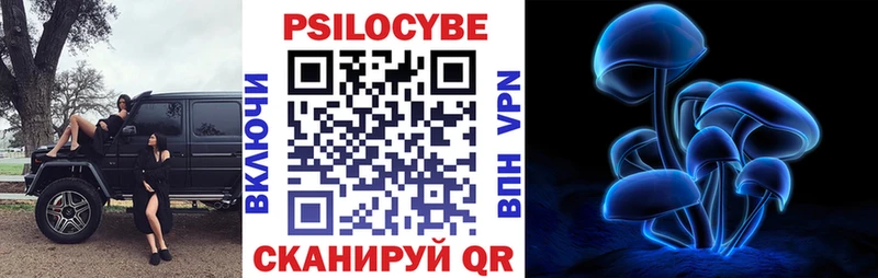 Псилоцибиновые грибы Psilocybine cubensis  KRAKEN зеркало  Мариинский Посад 